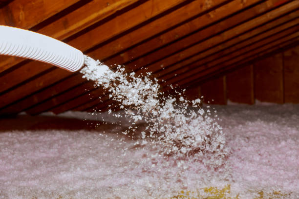 Best Garage Insulation Installation  in Hudson Oaks, TX