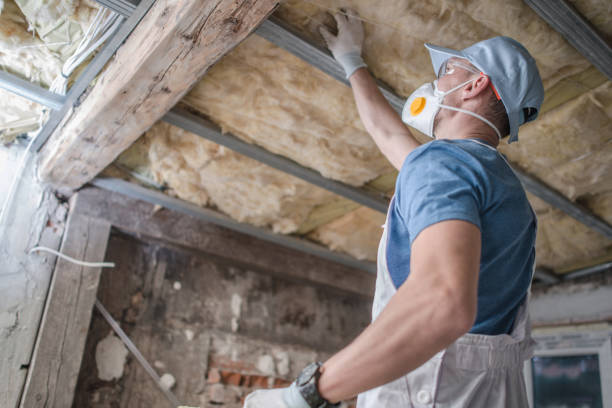 Best Insulation for New Construction  in Hudson Oaks, TX