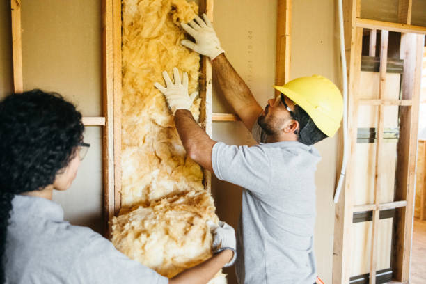 Best Wall Insulation Contractor  in Hudson Oaks, TX