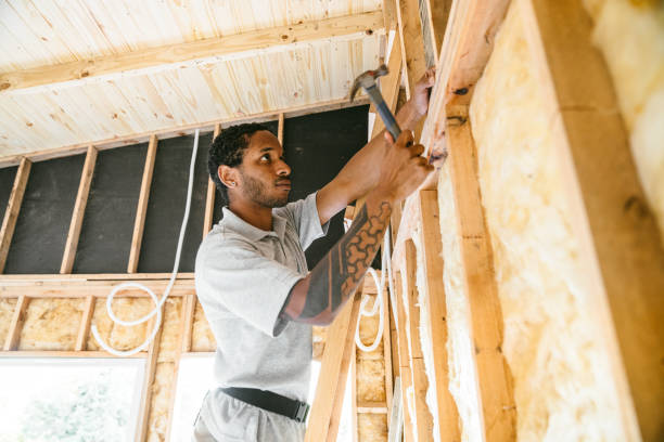 Best Attic Insulation Installation  in Hudson Oaks, TX