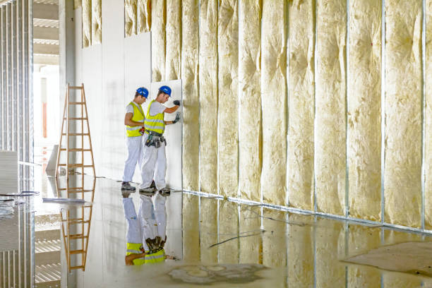 Best Professional Insulation Contractor  in Hudson Oaks, TX